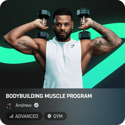 Bodybuilding Muscle Program